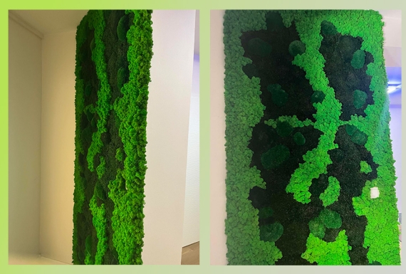 A természet harmóniája a falon – Miért hódít a vegyes zöldfal és a növényfal?